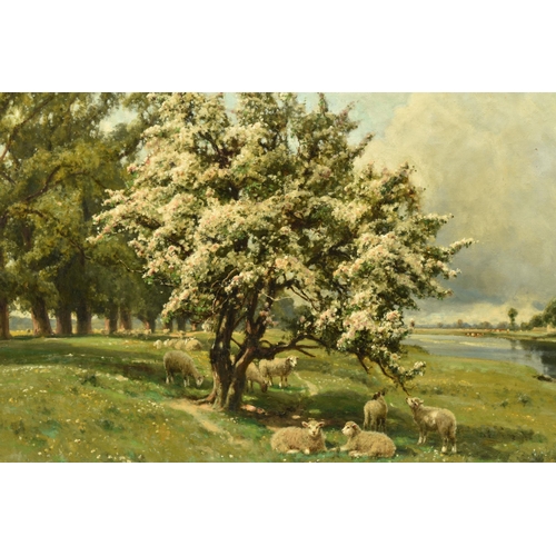 299 - ARTHUR WILLIAM REDGATE (1860-1906) A PASTORAL LANDSCAPE, sheep at rest beneath a tree laden with blo... 