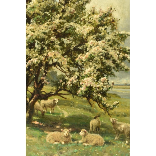 299 - ARTHUR WILLIAM REDGATE (1860-1906) A PASTORAL LANDSCAPE, sheep at rest beneath a tree laden with blo... 