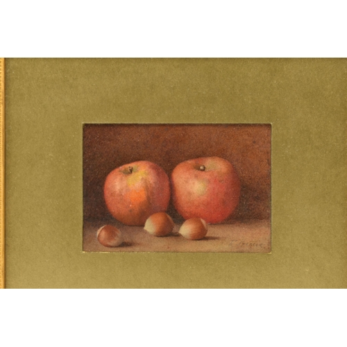 300 - FREDERICK SPENCER (ACTIVE 1891-1924) STILL LIFE WITH APPLES AND HAZELNUTS, signed bottom right, wate... 