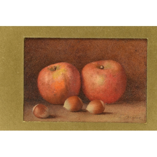 300 - FREDERICK SPENCER (ACTIVE 1891-1924) STILL LIFE WITH APPLES AND HAZELNUTS, signed bottom right, wate... 