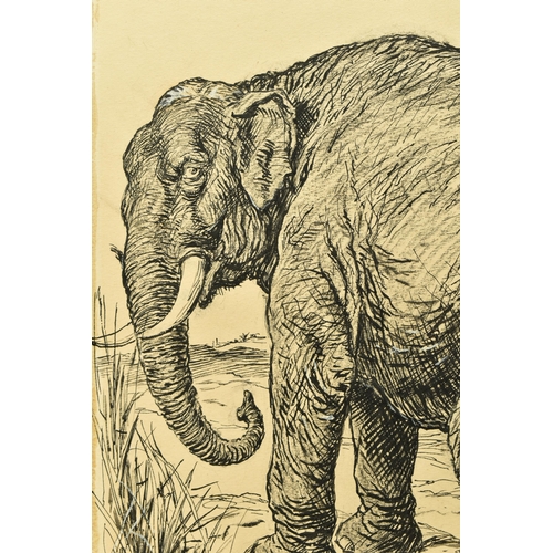 319 - BERNARD PARTRIDGE (1861-1945) 'THE CHAMPION OF THE SMALLER NATIONS - THE IMPERIAL PACHYDERM',  a sat... 