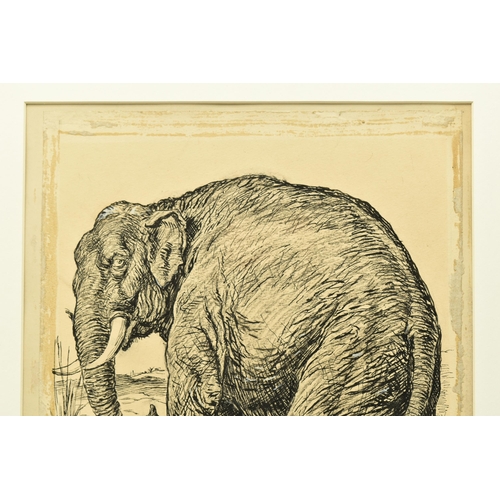 319 - BERNARD PARTRIDGE (1861-1945) 'THE CHAMPION OF THE SMALLER NATIONS - THE IMPERIAL PACHYDERM',  a sat... 