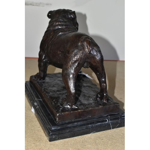 368 - A FRENCH BRONZE BULLDOG, after P. J. Mené, supported on a black and white marble base, width 22cm x ... 