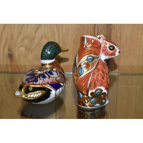 451 - TWO ROYAL CROWN DERBY PAPERWEIGHTS, comprising a Mallard Duck and a Woodland Squirrel, each with gol... 