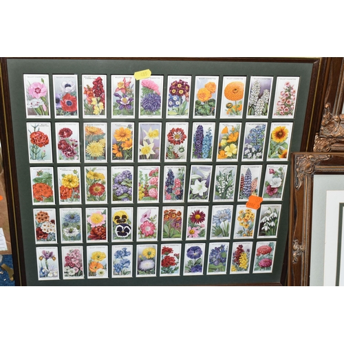 485 - CIGARETTE CARDS AND PRINTS, comprising Will's complete Cinema Stars series 1 & 2 and Will's Garden F... 