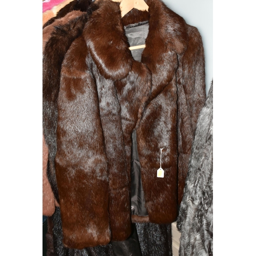 512 - SEVEN FUR COATS, ladies assorted furs, brown, grey, beige, apricot, dark brown, sizes vary between 1... 