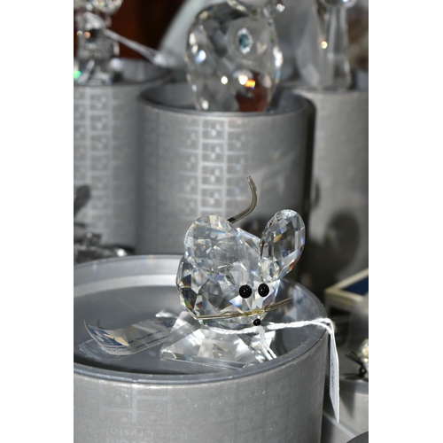 517 - A COLLECTION OF BOXED SWAROVSKI CRYSTAL ANIMALS, comprising a turtle, miniature cat 7659,  rabbit, s... 