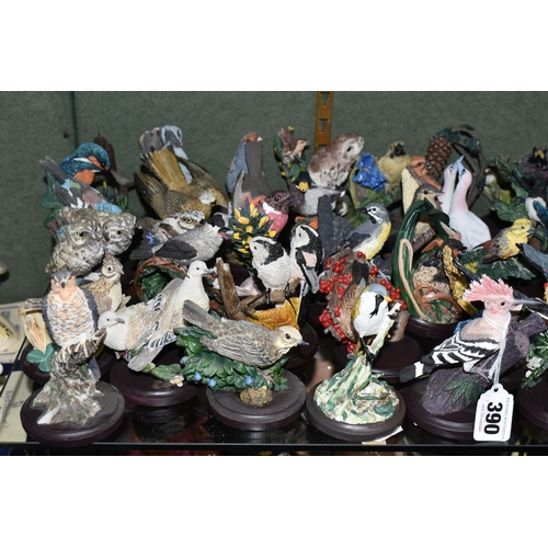 390 - OVER EIGHTY SCULPTURES FROM THE COUNTRY BIRD COLLECTION, to include 'The Hoopoe', 'The Gannet', 'The... 