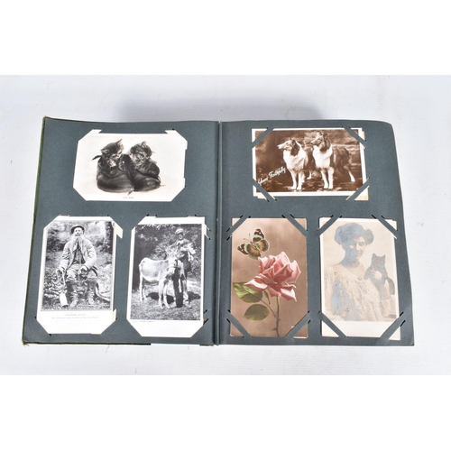 221 - POSTCARDS, one album containing approximately 492*  early 20th century Postcards (Edwardian - 1940's... 