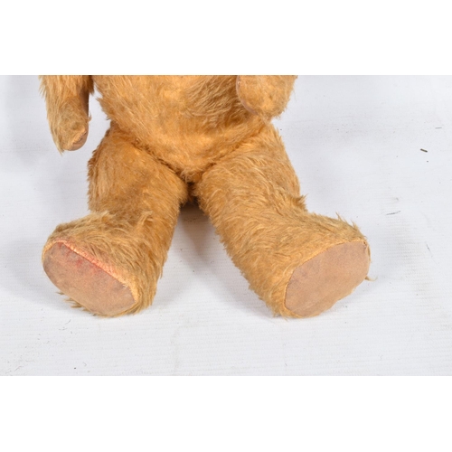 106 - A GOLDEN PLUSH TEDDY BEAR, amber and black plastic eyes, vertically stitched nose, jointed body with... 