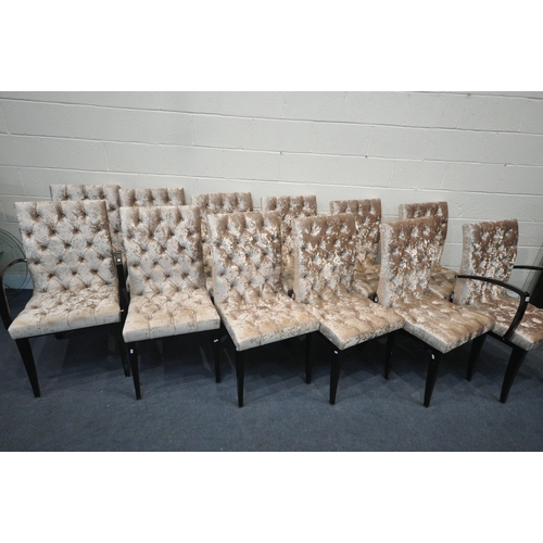 1340 - A SET OF TWELVE MAB PURE DESIGN BUTTONED GOLD VELVET DINING CHAIRS, with a glossy ebonised legs incl... 