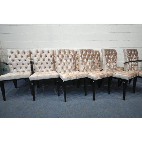 1340 - A SET OF TWELVE MAB PURE DESIGN BUTTONED GOLD VELVET DINING CHAIRS, with a glossy ebonised legs incl... 