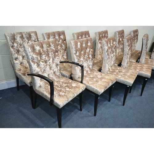 1340 - A SET OF TWELVE MAB PURE DESIGN BUTTONED GOLD VELVET DINING CHAIRS, with a glossy ebonised legs incl... 