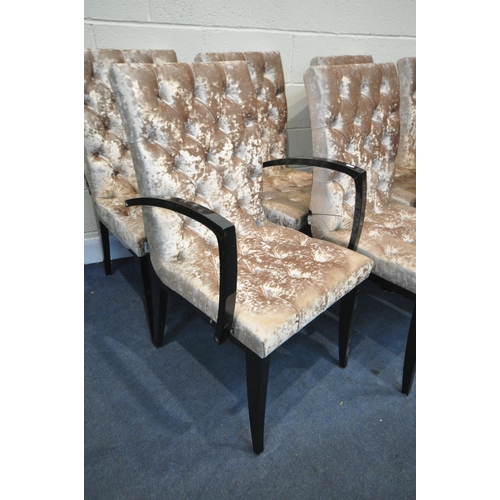 1340 - A SET OF TWELVE MAB PURE DESIGN BUTTONED GOLD VELVET DINING CHAIRS, with a glossy ebonised legs incl... 