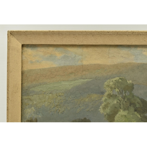 312 - JOHN ALFRED HAGGIS (1897-1968) 'BUCKDEN IN WHARFEDALE', a Yorkshire landscape with trees, signed bot... 