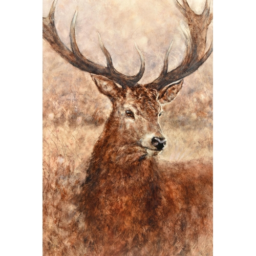 339 - GARY BENFIELD (BRITISH CONTEMPORARY) 'NOBLE' a signed limited edition print of a stag, 20/195, with ... 