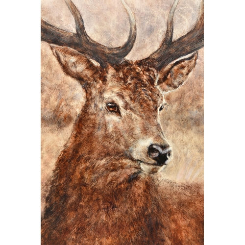 339 - GARY BENFIELD (BRITISH CONTEMPORARY) 'NOBLE' a signed limited edition print of a stag, 20/195, with ... 