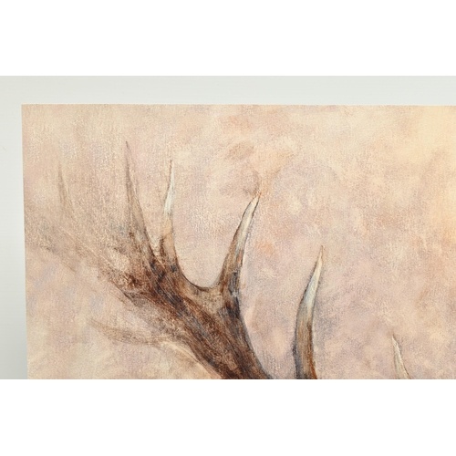 339 - GARY BENFIELD (BRITISH CONTEMPORARY) 'NOBLE' a signed limited edition print of a stag, 20/195, with ... 