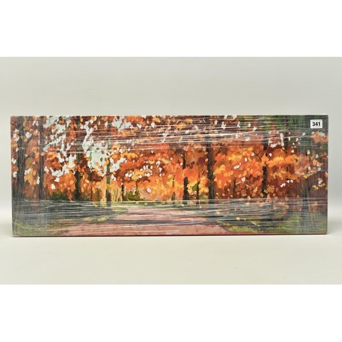 341 - TIMMY MALLETT (BRITISH CONTEMPORARY) 'WOODLAND WALK', a signed artist proof edition box canvas print... 