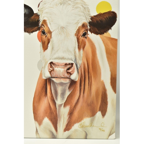 348 - HAYLEY GOODHEAD (BRITISH CONTEMPORARY) 'DAMIEN'S HERD', a limited edition box canvas print depicting... 