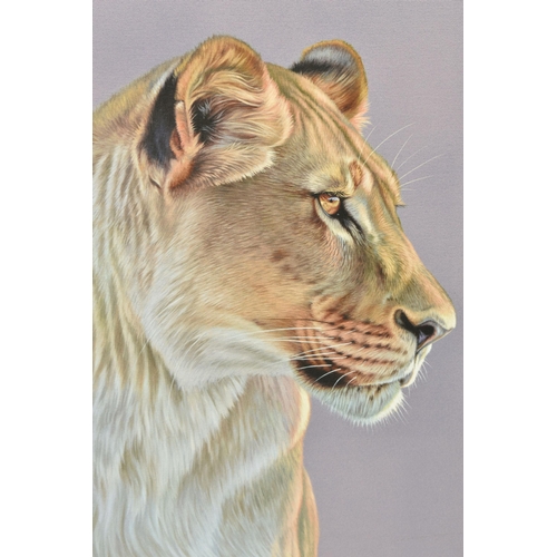 353 - DARRYN EGGLETON (SOUTH AFRICA 1981) 'QUEEN OF THE SAVANNAH' a portrait of a lioness, signed limited ... 