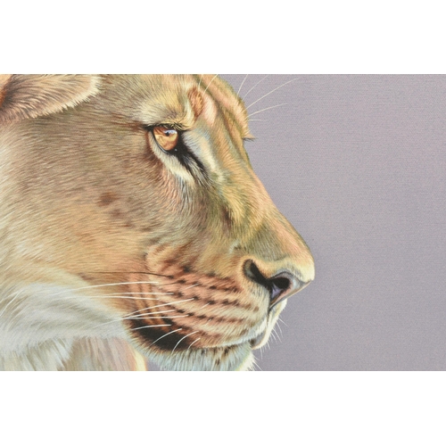 353 - DARRYN EGGLETON (SOUTH AFRICA 1981) 'QUEEN OF THE SAVANNAH' a portrait of a lioness, signed limited ... 