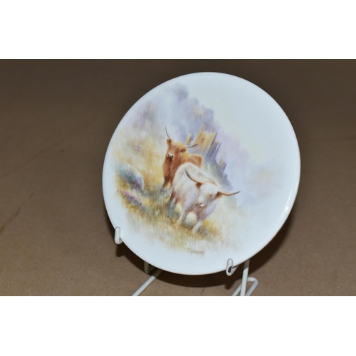 514 - A HAND PAINTED PORCELAIN PLAQUE signed by T. Young (former Royal Worcester artist), a Scottish Highl... 