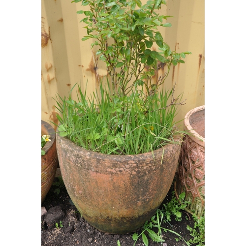 1004 - A SELECTION OF WEATHERED TERRACOTTA POTS comprising three circular terracotta pots and a smaller pla... 