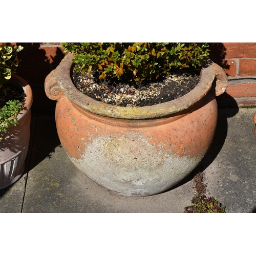 967 - FIVE TERRACOTTA COLOURED PLANT POTS including a pair of large urns 60cm wide, a pair of similar but ... 