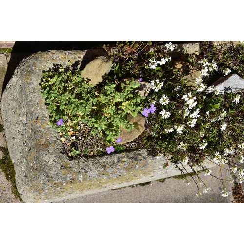 968 - A SMALL RECTANGULAR COMPOSITE TROUGH with soil and planting width 63cm depth 30cm hieght 25cm( this ... 