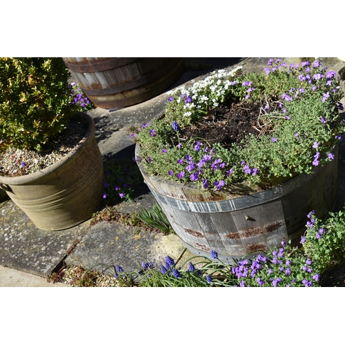 975 - THREE MODERN OAK HALF BARREL PLANTERS with galvanized banding and a terracotta coloured planter with... 