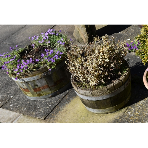 975 - THREE MODERN OAK HALF BARREL PLANTERS with galvanized banding and a terracotta coloured planter with... 