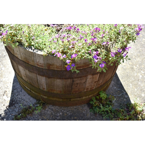 976 - A VINTAGE OAK HALF BARREL PLANTER with iron banding strips diameter 65cm with soil and planting( thi... 