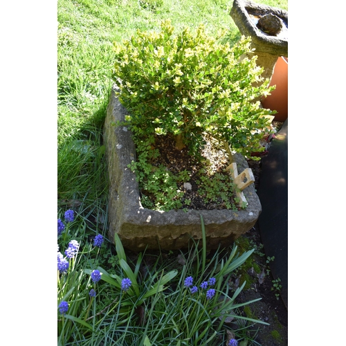 993 - A VINTAGE SANDSTONE TROUGH with soil and planting width 58cm depth 46cm height 28cm ( this lot is no... 