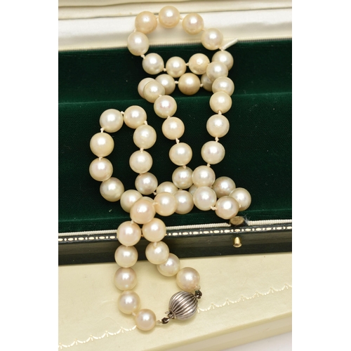 177 - A CULTURED PEARL NECKLACE, single row of individually knotted cream pearls with a slight pink hue, e... 