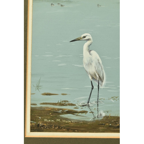 302 - ALAN M. HUNT (BRITISH 1947) WADING BIRDS, a Great White Heron and a Black Winged Stilt at the water'... 