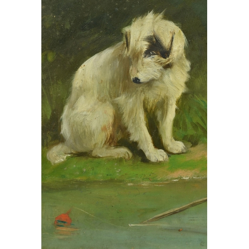 303 - CUTHBERT EDMUND SWAN (1870-1931) WATCHING AND WAITING, a terrier dog sits watching a fishing float, ... 