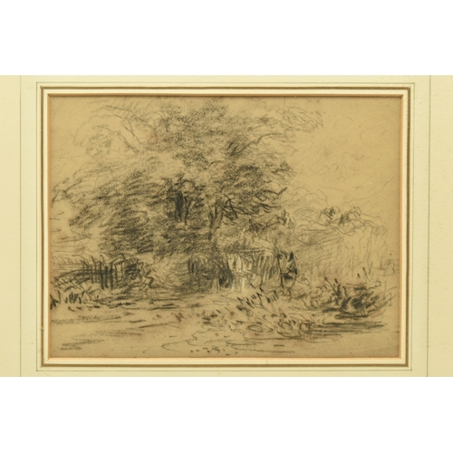 312 - CIRCLE OF DAVID COX (1783-1859) WOODLAND SCENE, no visible signature, charcoal on paper, approximate... 