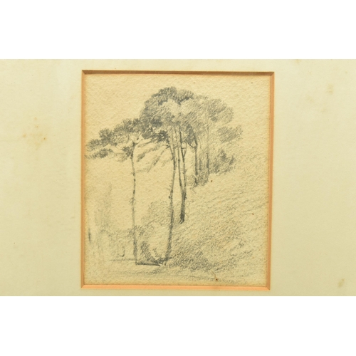 317 - CIRCLE OF SAMUEL PROUT (1783-1852) THREE STUDIES OF TREES, unsigned pencil sketches, largest approxi... 