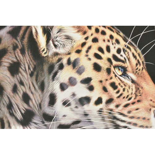 345 - DARRYN EGGLETON (SOUTH AFRICA 1981) 'THE WILD SIDE I', a signed limited edition box canvas print dep... 