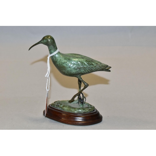 434 - PATRICIA A NORTHCROFT (CONTEMPORARY) A BRONZE SCULPTURE OF A WHIMBREL, walking in a naturalistic set... 