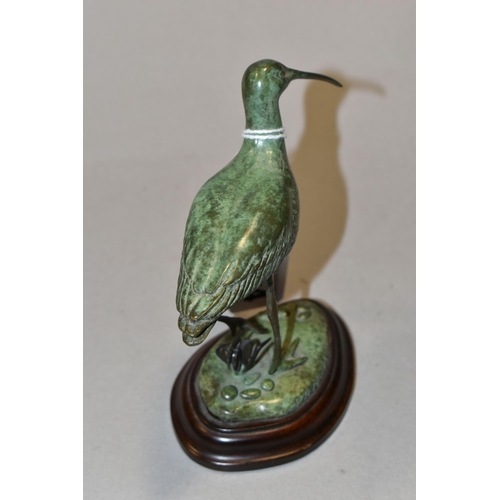 434 - PATRICIA A NORTHCROFT (CONTEMPORARY) A BRONZE SCULPTURE OF A WHIMBREL, walking in a naturalistic set... 