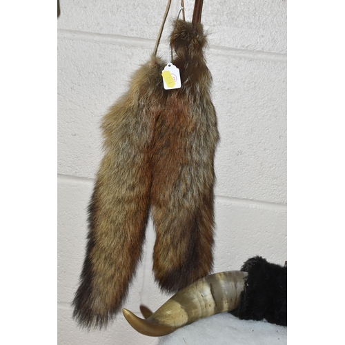 466 - TWO SETS OF MOUNTED HIGHLAND COW HORNS, together with two taxidermy fox tails (4)  (Condition report... 