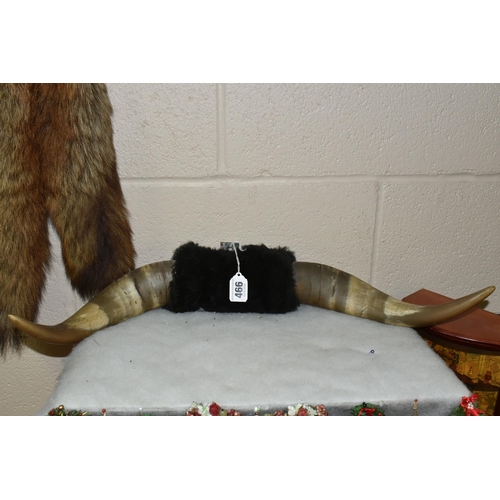 466 - TWO SETS OF MOUNTED HIGHLAND COW HORNS, together with two taxidermy fox tails (4)  (Condition report... 