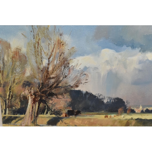 641 - TREVOR CHAMBERLAIN (BRITISH 1933) 'SPRING STORM CLOUDS, THE MEADS, HERTFORD', a picturesque landscap... 