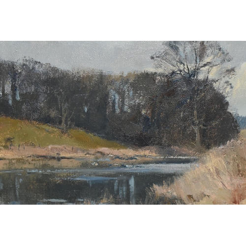 642 - TREVOR CHAMBERLAIN (BRITISH 1933) 'RIVER GADE, WINTER', a Hertfordshire river landscape, signed and ... 