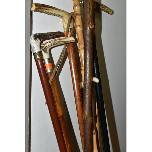 648 - SEVEN ANTIQUE AND VINTAGE RIDING CROPS AND WALKING STICKS ETC, to include a crop with silver collar ... 