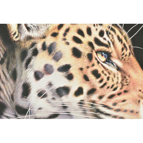 322 - DARRYN EGGLETON (SOUTH AFRICA 1981) 'THE WILD SIDE I', a signed limited edition print on canvas depi... 