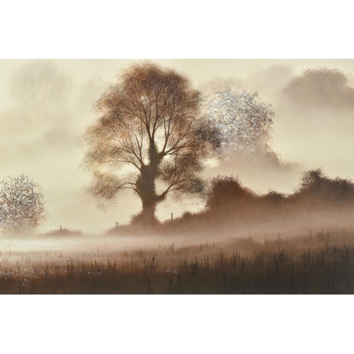 338 - JOHN WATERHOUSE (BRITISH 1967) 'A NEW DAY DAWNS', a signed limited edition print on board depicting ... 