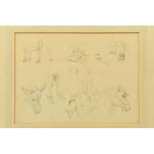 302 - CIRCLE OF ROBERT HILLS (1796-1844), ELEVEN STUDIES OF ANIMALS ON ONE SHEET, no visible signature, at... 